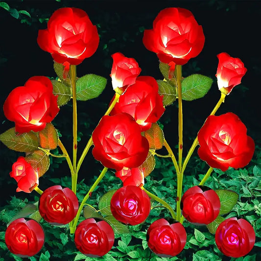 Color-Changing Solar Garden Roses